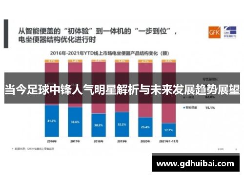 当今足球中锋人气明星解析与未来发展趋势展望